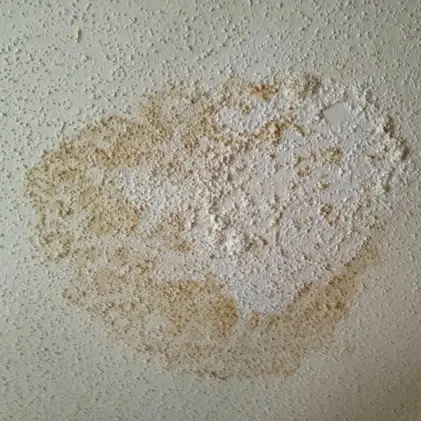 ceiling wet spot