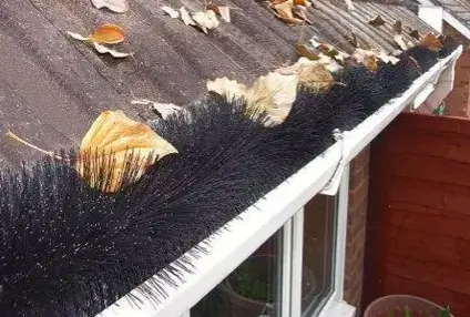 Gutter Brush