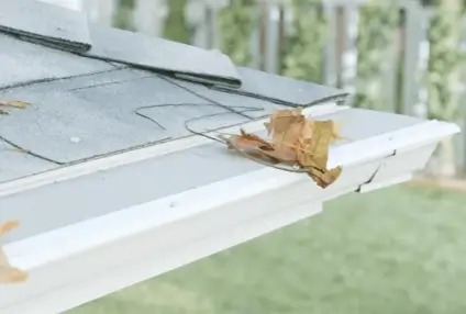 Leaf Filter