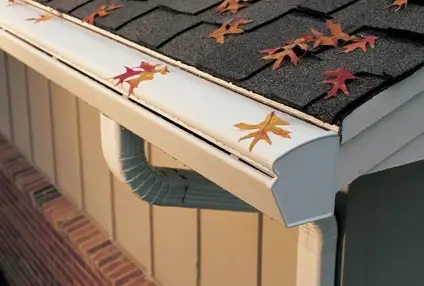 Leaf Guard